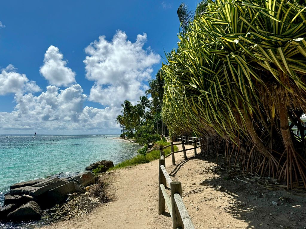 Guadeloupe - Weg am Strand